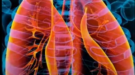 Nanoparticle-Based Method Can Now Detect, Destroy Cancer Cells: Indian ...