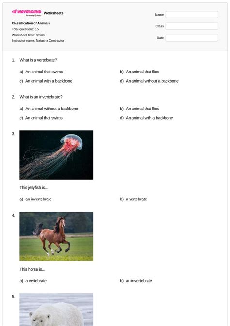 50+ Biological Classification worksheets for Class 1 on Wayground ...