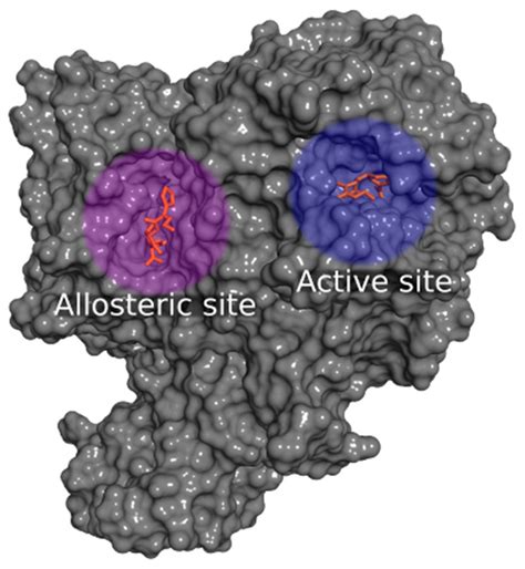 Anti-Helicobacter pylori Activity of Isocoumarin Paepalantine ...