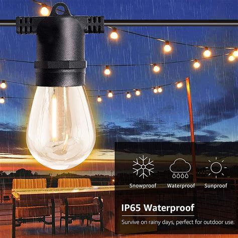 Buy Eva's Light 51ft LED Solar String Lights Outdoor- Waterproof with ...
