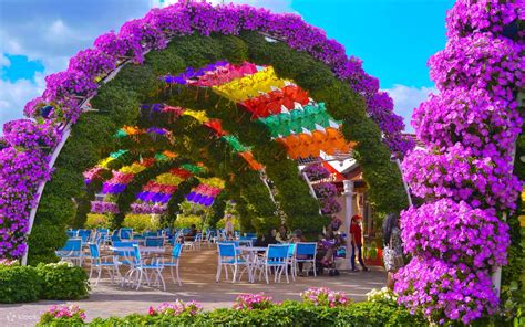 Dubai Miracle Garden Ticket - Klook India