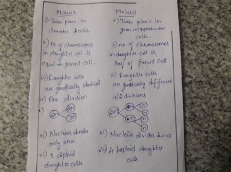 What is the difference between Mitotic and meiotic cell division ...