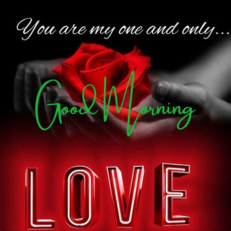 60 + Happy Good Morning Red Rose Romantic Images & Pictures with blessings