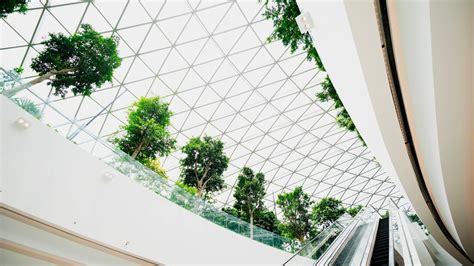 Using nature as a blueprint in architecture | Meer
