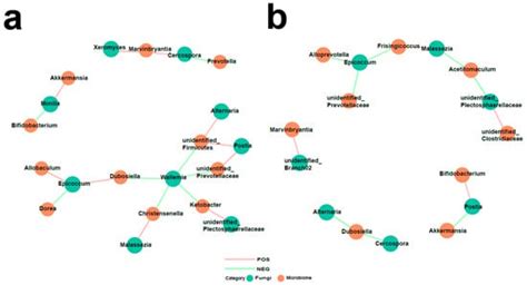 Gut Fungal Microbiota Alterations in Pulmonary Arterial Hypertensive Rats