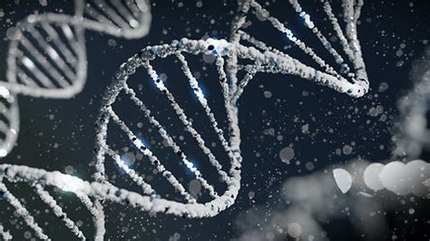 Plasmid DNA Prepartion | Operon Technologies