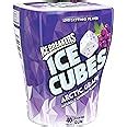 Ice Breakers Arctic Grape Ice Cubes 40 Pieces Jar, 120 g : Amazon.in ...