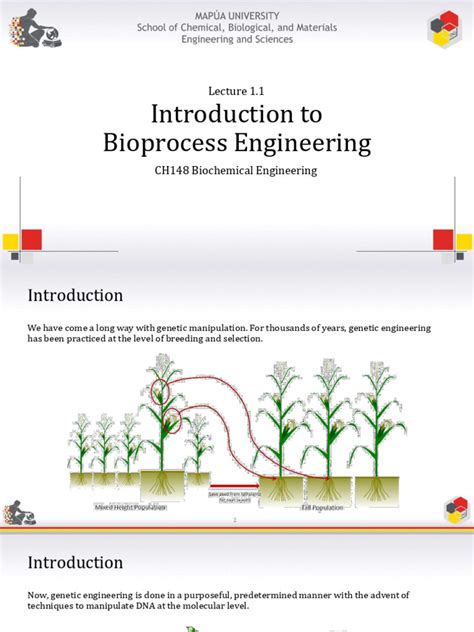 Bioengineering Processes 的图像结果
