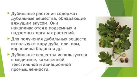Технология растениеводства. Дикорастущие растения.
