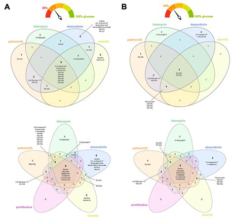 Nutritional Niches of Cancer Therapy-Induced Senescent Cells
