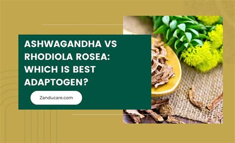 Ashwagandha vs Moringa: Key Difference in Uses & Nutrients