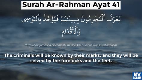 Surah Ar-Rahman Ayat 41 (55:41 Quran) With Tafsir