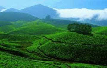 Memorable 5 Days 4 Nights Cochin, Munnar, Thekkady with Alleppey Tour ...