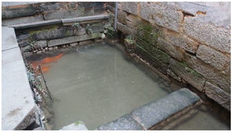 Ecological Wisdom and Inspiration Underlying the Planning and ...