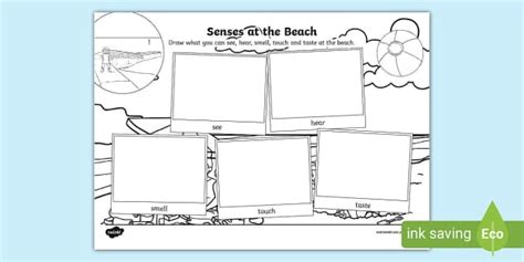 Senses at the Beach To Support Teaching on Jetty Jumping