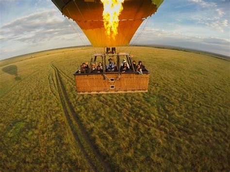 APODIFORMES ADVENTURES - Nairobi | Tripadvisor