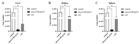 The Protective Effects and Immunological Responses Induced by a ...