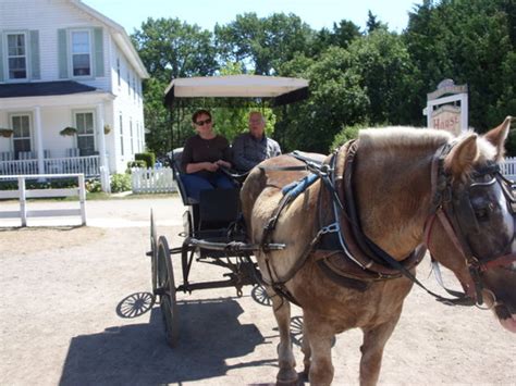 Jack's Drive It Yourself Buggy Ride (Mackinac Island) - All You Need to ...