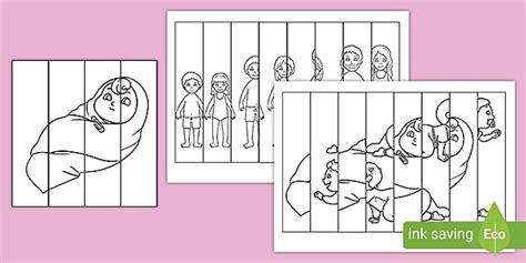 Human Growth Agamographs Colouring Pages (teacher made)