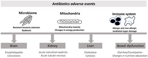 β-Lactam Dosing in Critical Patients: A Narrative Review of Optimal ...