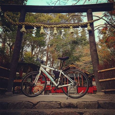KYOTO BIKE TOUR - THE BAMBOO FOREST & ARASHIYAMA (2026) All You Need to ...