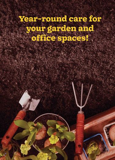 Garden Maintenance Services in Pune | Vertical Gardening Planning