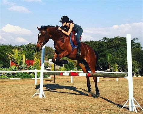 THE 30 BEST Places to Visit in Polokwane (2026)