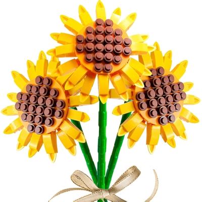 MEIEST Building Blocks Flower Bouquet Plant kit,Creative India | Ubuy