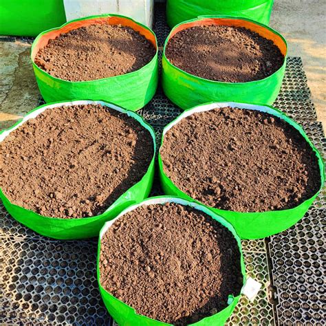 OrganicBazar 18x6 Grow Bag for Leafy Vegetables, Premium HDPE 260 GSM,