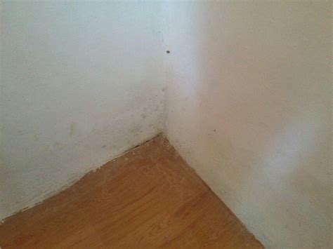 THE MOKSH (Kasiyalekh) - Cottage Reviews & Photos - Tripadvisor
