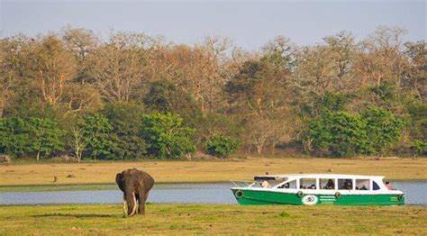 Kabini River Lodge Stay and Wildlife Safari Package
