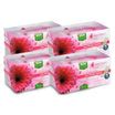 Buy everteen Daily Panty Liners with Neem and Aloe Vera for Women