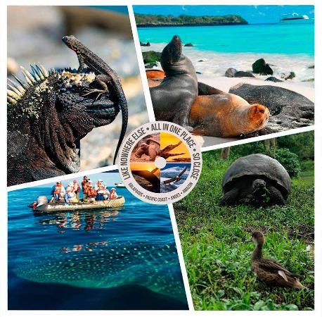 Midland Travel (Quito) - All You Need to Know BEFORE You Go