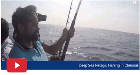 Poseidon