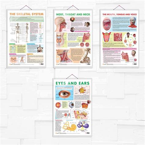 THE SKELETAL SYSTEM, NOSE, THROAT AND NECK, THE MOUTH, TONGUE AND VOICE ...