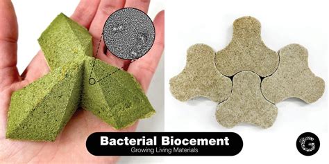 Bacterial Biocement: Growing Living Materials, Genspace, Brooklyn, 11 ...