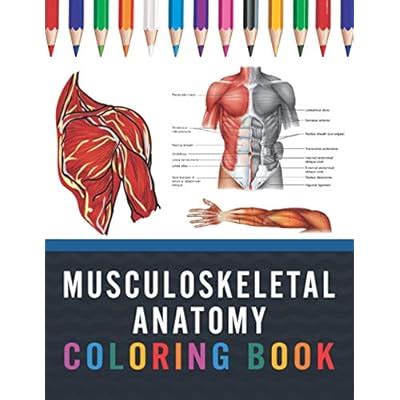 Musculoskeletal Anatomy Coloring Book: Now you can India | Ubuy