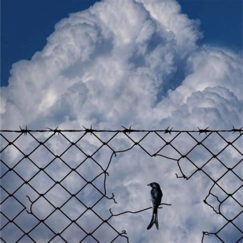 Clipped Bird – Delhi Poetry Slam
