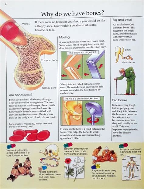 Knowledge Masters How Your Body Works Includes CD – Books and You