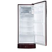 Buy 5-Star Single-Door Refrigerator - GL-D241ASMU | LG India
