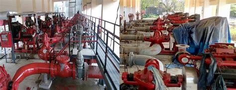 PECO Group - Since 1963