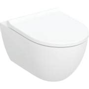Geberit Acanto wall-hung WC set, washdown, shrouded, TurboFlush, with ...