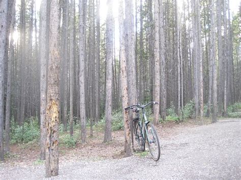 BOULTON CREEK CAMPGROUND (Kananaskis) - Campground Reviews & Photos ...