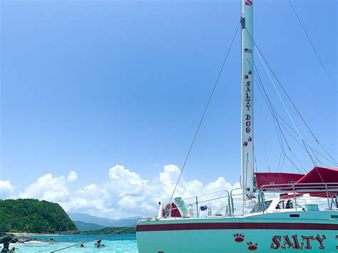 SALTY DOG CATAMARAN - All You Need to Know BEFORE You Go (with Photos ...