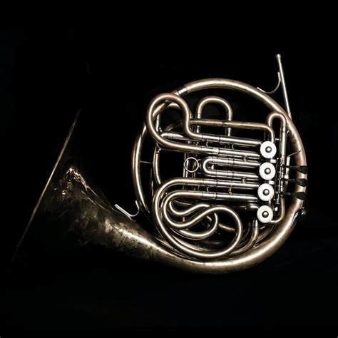 Image result for Brass Instruments French Horn