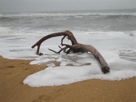 Ezhimala Beach (Kannur) - 2021 What to Know Before You Go (with Photos ...
