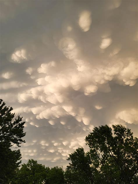 Image result for Freezer Defroster