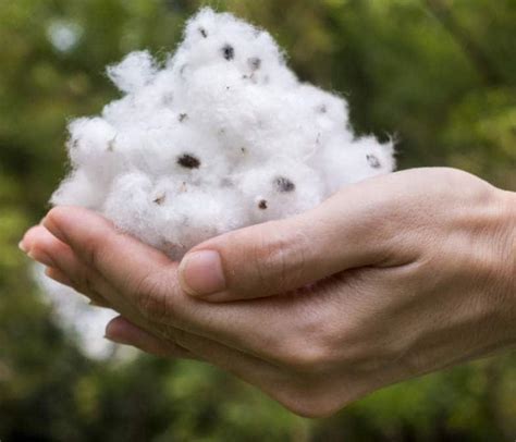 Race Exports in Nrk Puram, Tirupur - Best Cotton Exporters in Tirupur ...