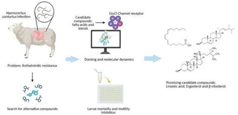 Molecular Interaction and Biological Activity of Fatty Acids and ...