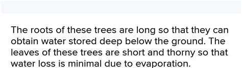 Why do trees in thorn forests have long roots and fleshy leaves? PLEASE ...